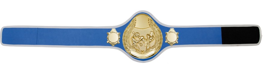 THAI BOXING CHAMPIONSHIP BELT-PRO301/G/TBOG- 10 + COLOURS THAI BOXING CHAMPIONSHIP BELT-PRO301/G/TBOG- 10 + COLOURS
